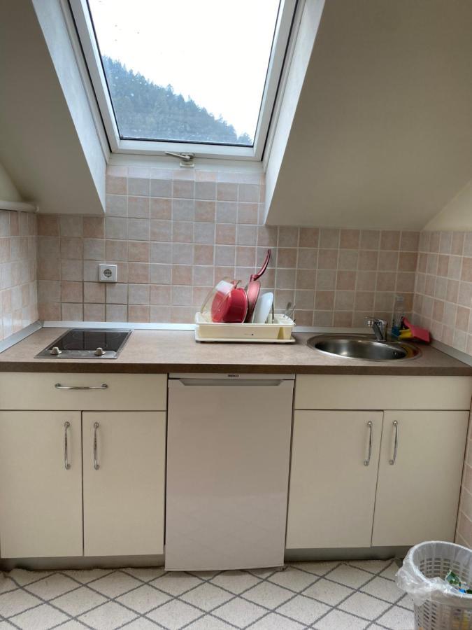Apartma Regina Словени Градец Екстериор снимка